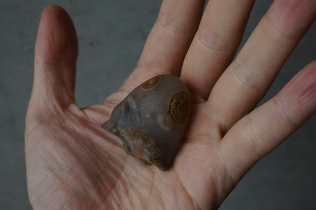 ゴビアゲート Gobi Agate 2383