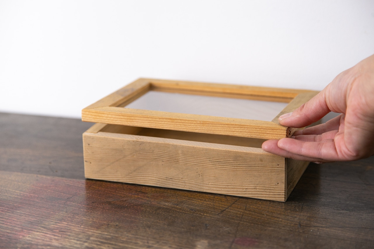 コレクションケース SS | 010