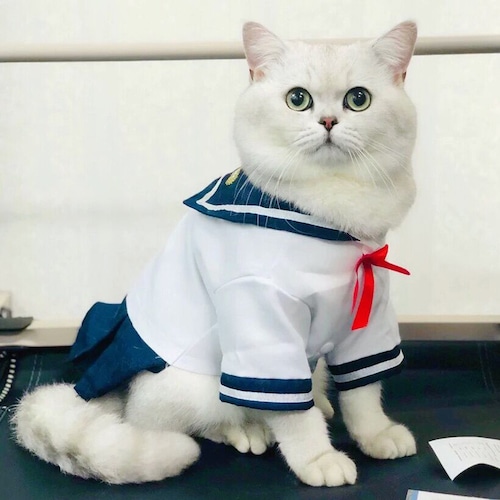 ペット用 コスプレ衣装 猫服 犬服 セーラー服 ★受注品★