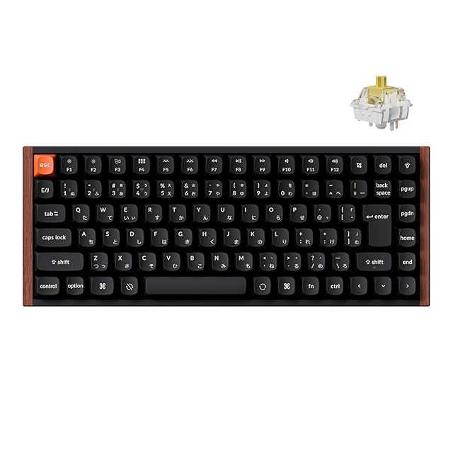 LisM - 1Uモジュール式 無線分割キーボード | Pay ID