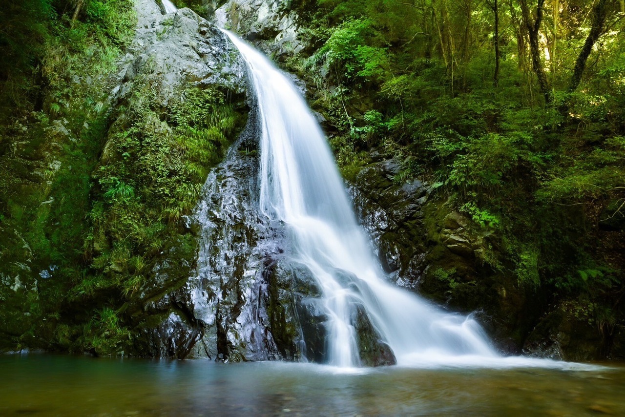 【小動物・小鳥用】ひのきマット チップタイプ magmell ネットショップ 直営店