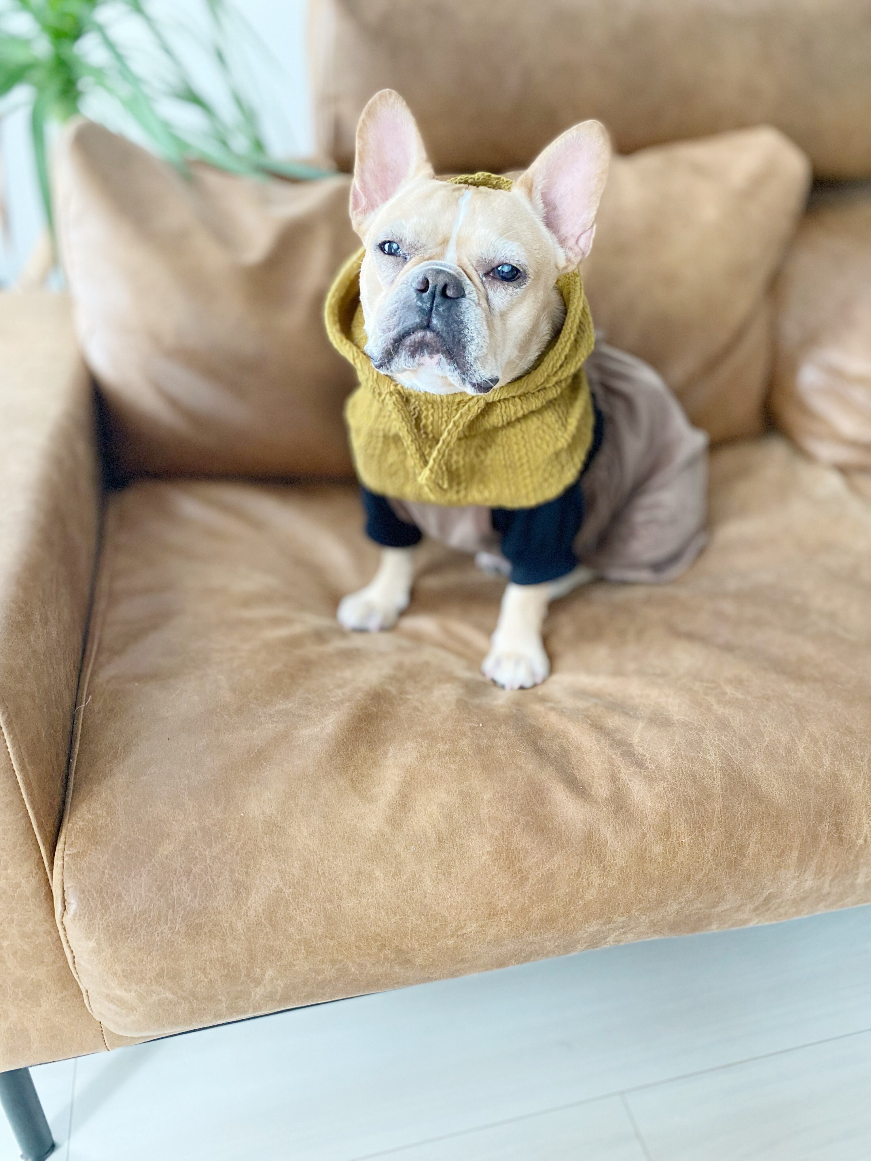犬服 ハンドメイド アランニット風 犬服 ハンドメイド アランニット風
