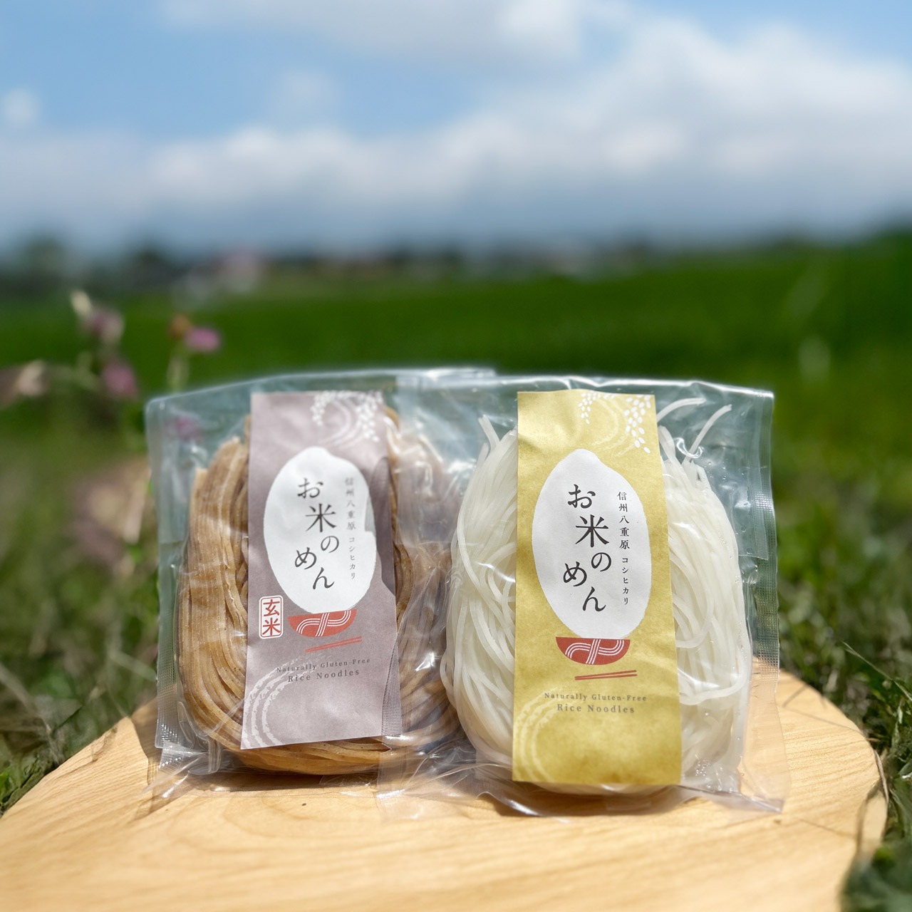 【贈答用】信州八重原お米のめん10食セット｜白米めん5食＋玄米めん5食｜長野県産コシヒカリ100％・グルテンフリー・保存料不使用