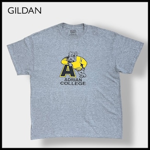 【GILDAN】カレッジ エイドリアン大学 ADRIAN COLLEGE ロゴ イラスト Tシャツ X-LARGE ビッグサイズ US古着