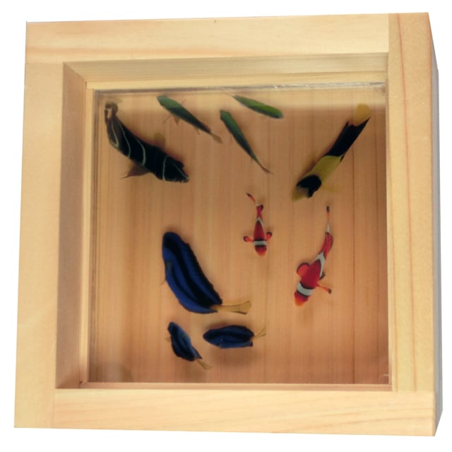 金魚 プレミアム ミニチュア フィギュア ジオラマ 桧 樹脂 3D アート 置物