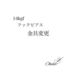 14kgフックピアス　【金具変更】