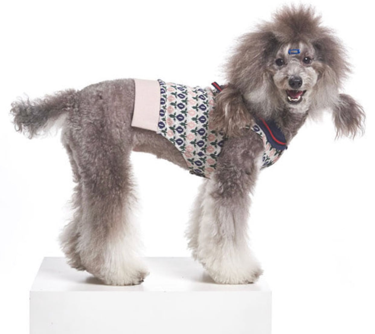 tulip button knit S ~ 2XL  /  犬服 秋冬 新作 可愛い 犬の服 ニット ドッグウェア 花柄 お揃い 袖なし カーディガン ベスト b40