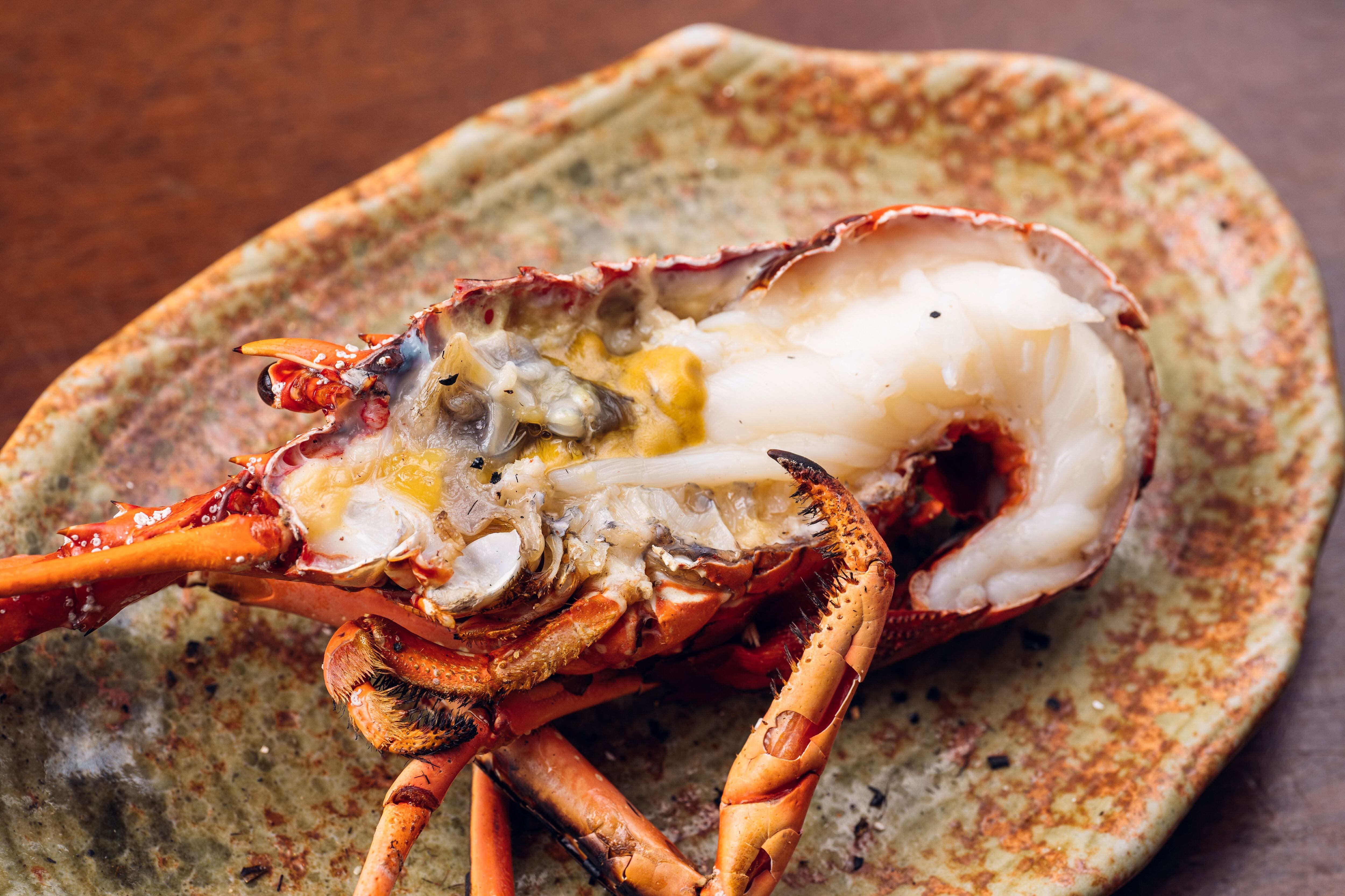 I-2】伊勢海老【約750g】【3尾入】 | 鈴木水産