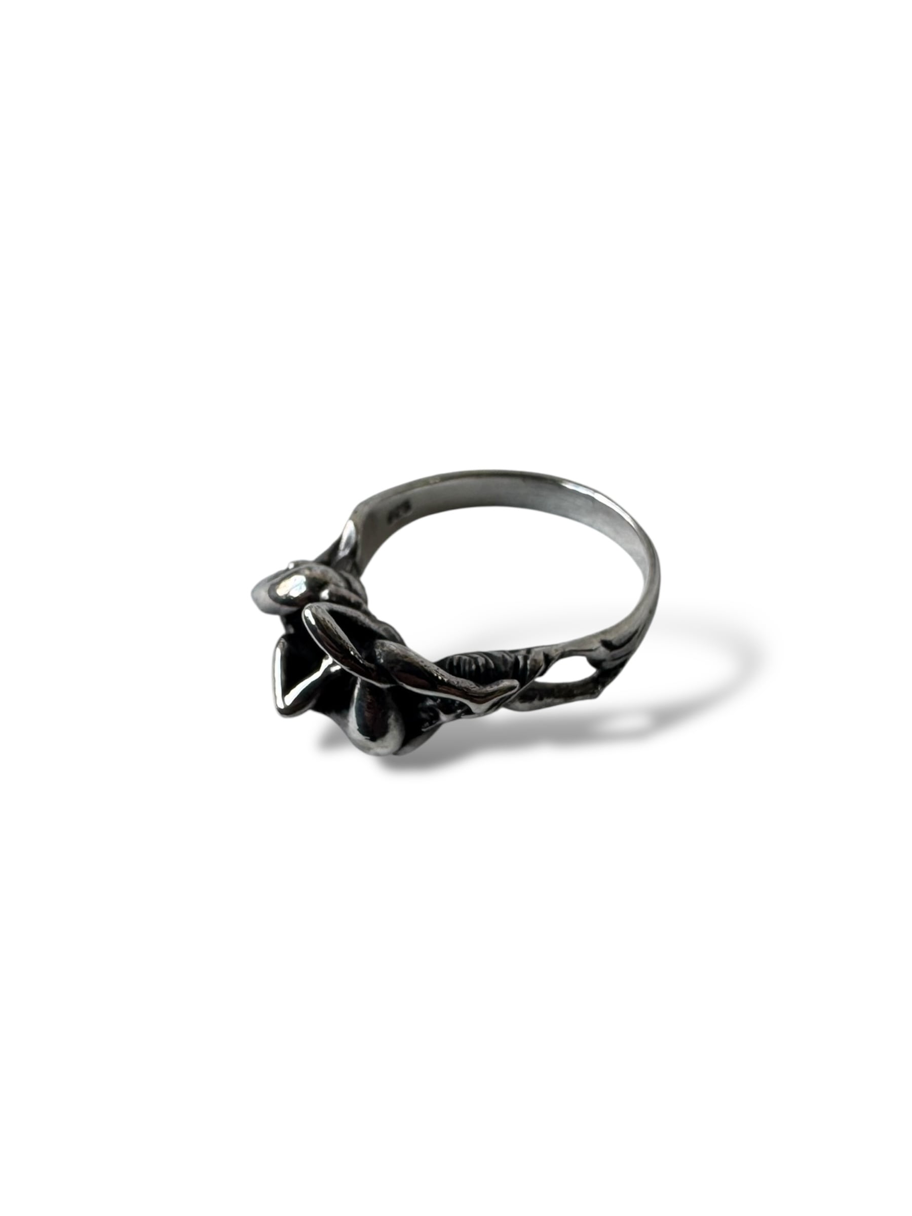 ACCESSORY | ELCASION/ELCA