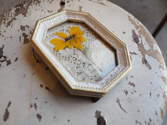 Prairie 向日葵のフレームフラワー