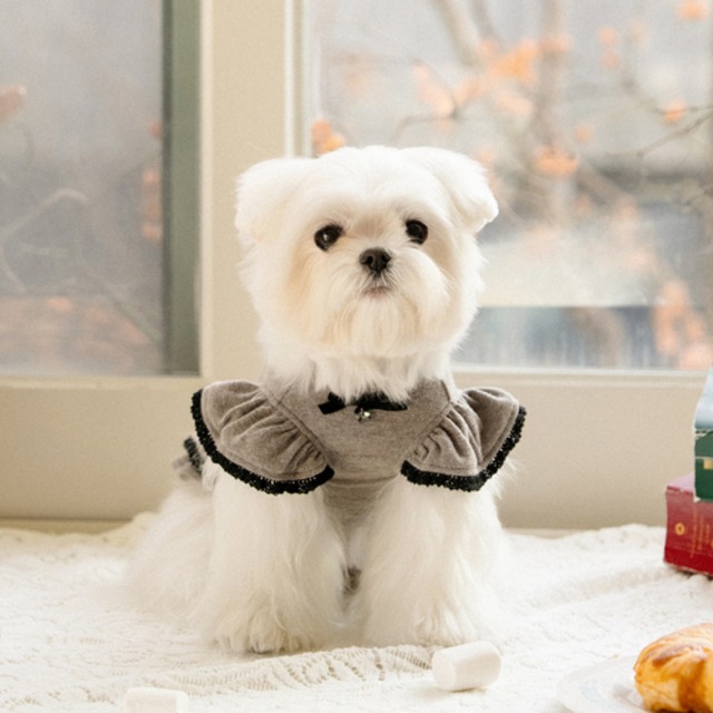 予約 【mylittledog】  Coco Heart OPS(milk cocoa)