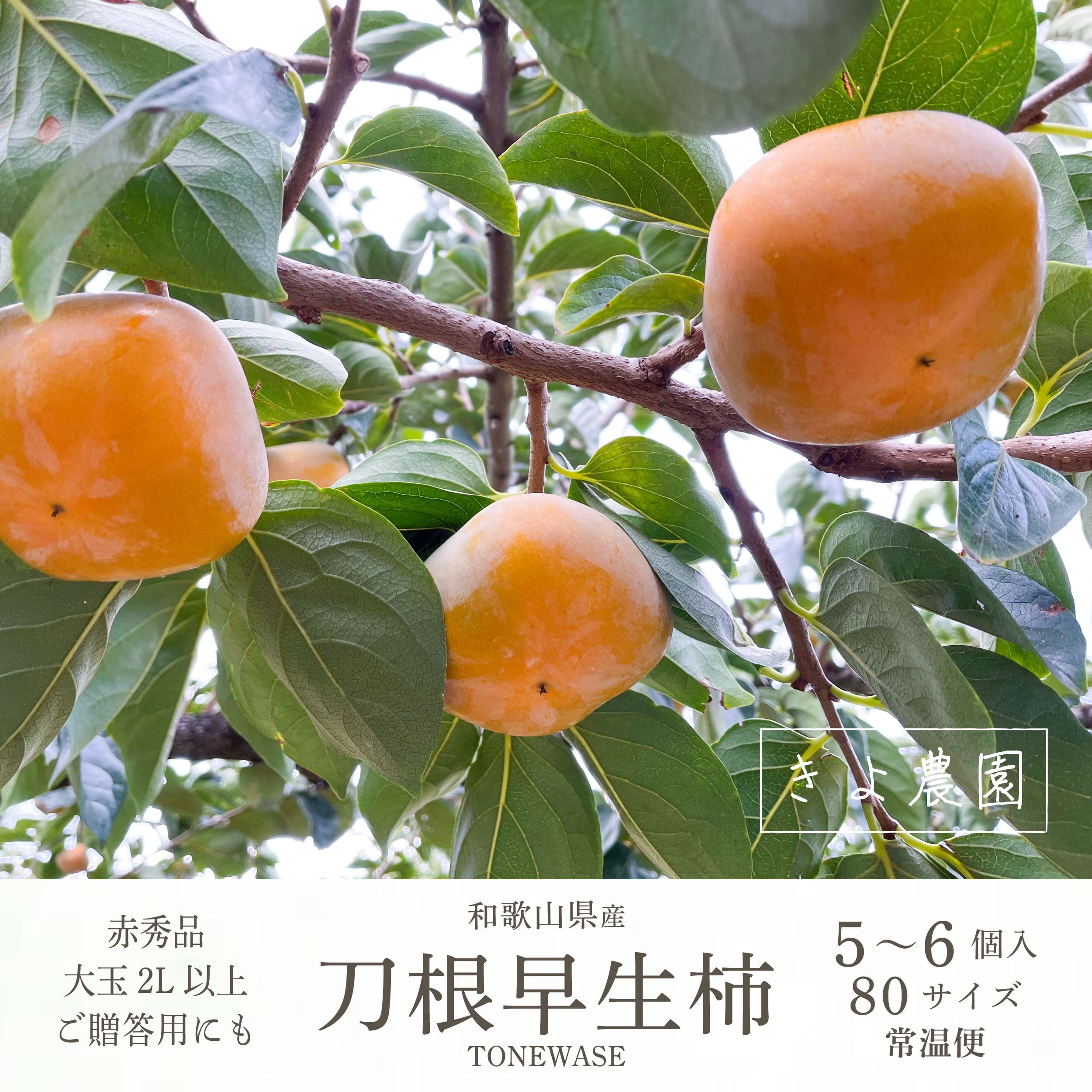 季節のフルーツ | きよ農園 | 和歌山県より旬の果物を産直でお届けします