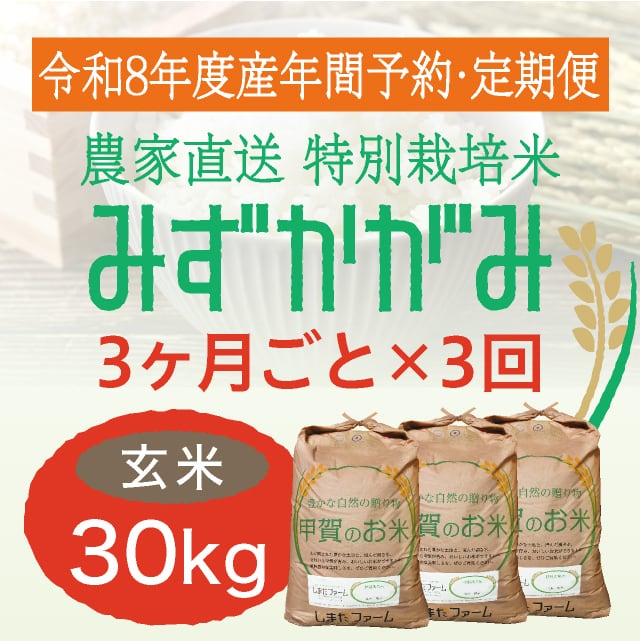 年間予約・定期便〉みずかがみ 農家直売・特別栽培米 滋賀県産・近江米