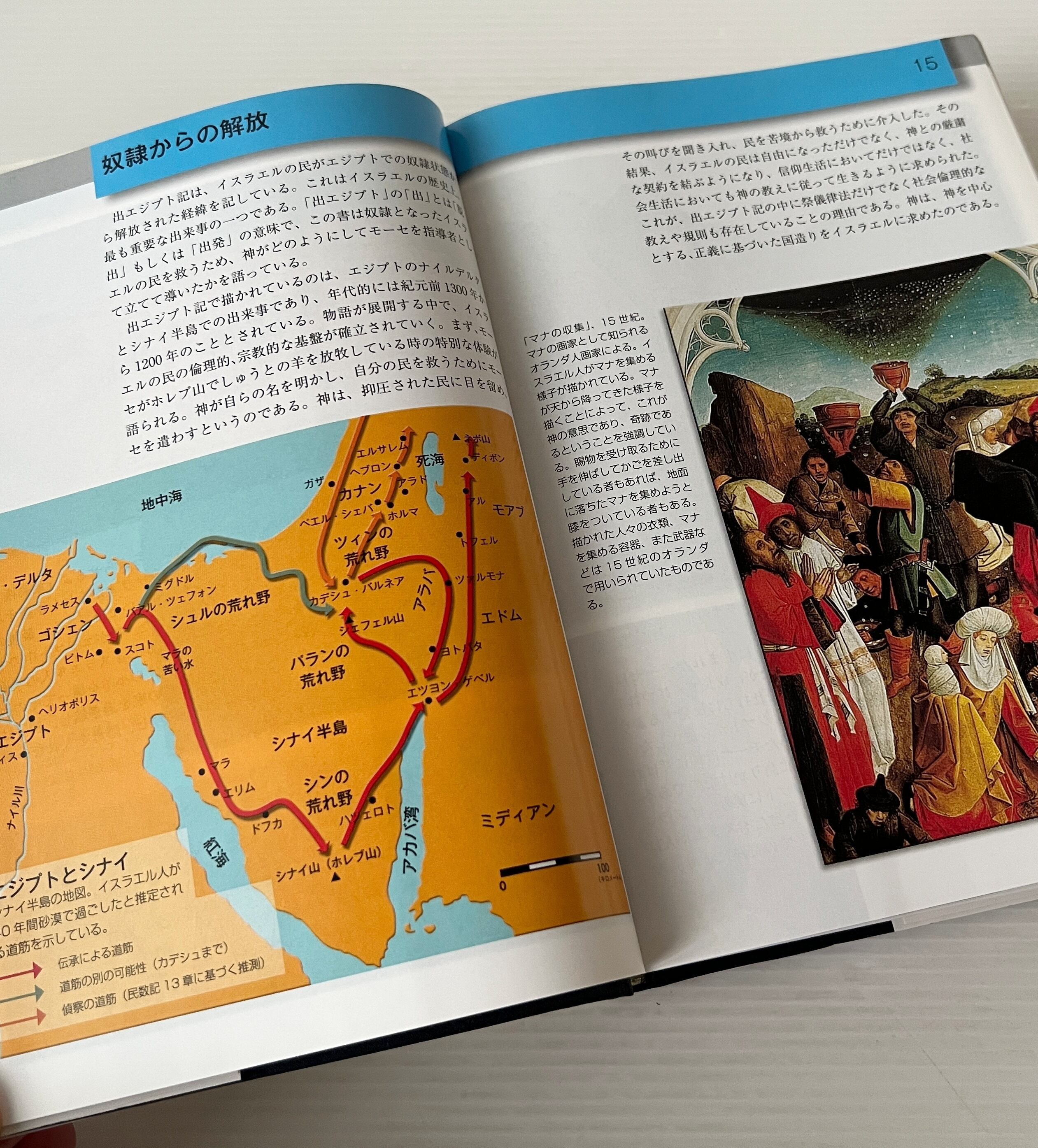 COMPARATIVE STUDY BIBLE 比較研究聖書 英語 キリスト教洋書】 聖書研究：文化的背景：新国際版 『Study