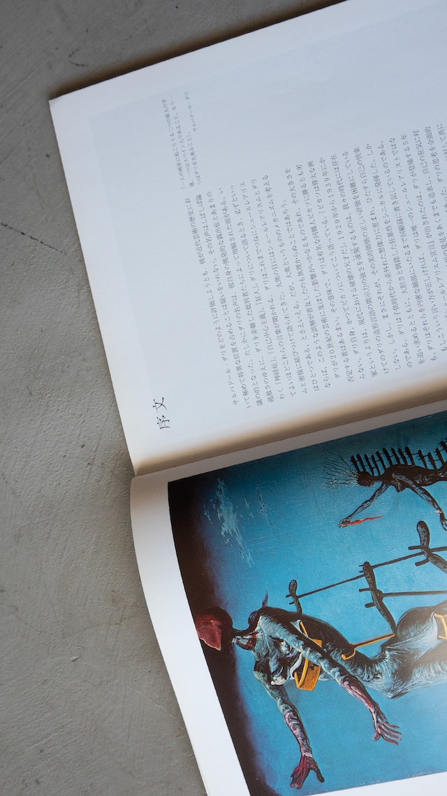 "Salvador Dalí" vintage Art book