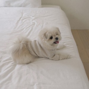 【予約】[ togethering ] Eyelet Crop T-Shirt｜Oatmeal