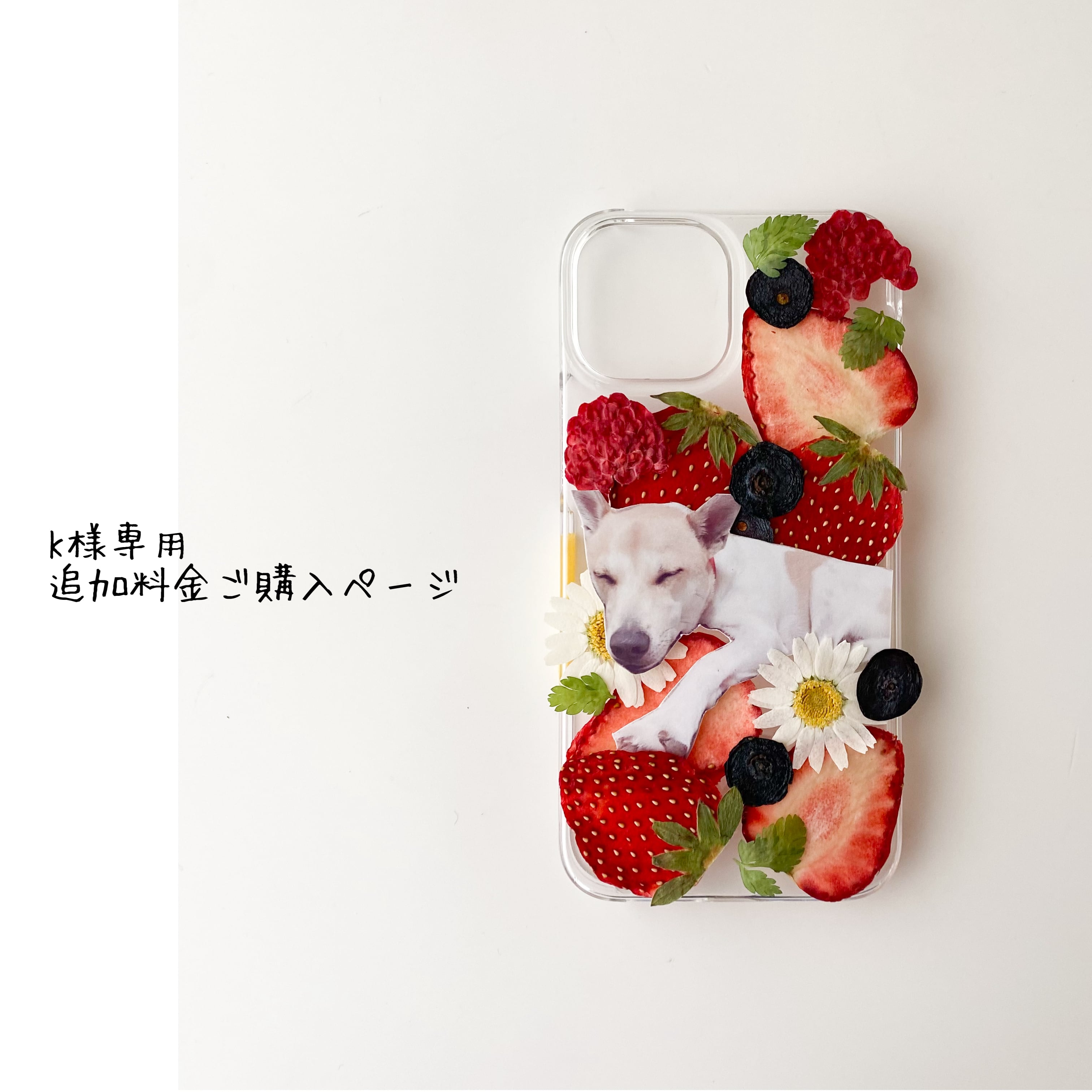 k☆k様ご購入専用 Kさま 専用購入ページ K＊様専用ページ ご購入期限6月19日まで - メルカリ