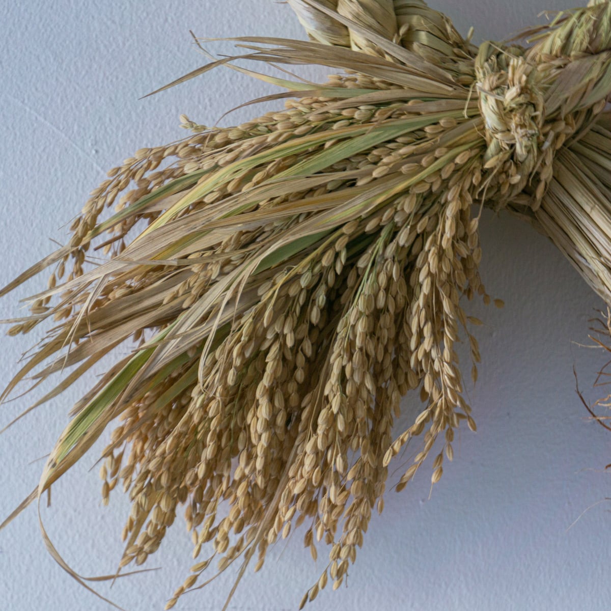 わら細工たくぼ 根付き穂付き | くらしのギャラリー杜の街グレース店
