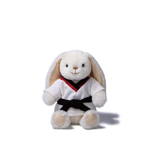 Taekwondo Smiling Leveret_MC400254