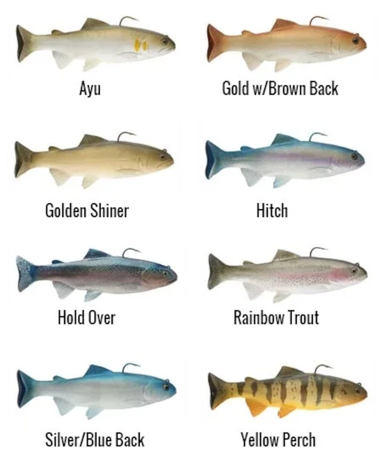 ハドルストン/ハドルトラウト 8