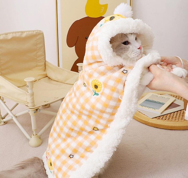 おすすめ☞《予約》№210871 あったかくるまり毛布ジャケ