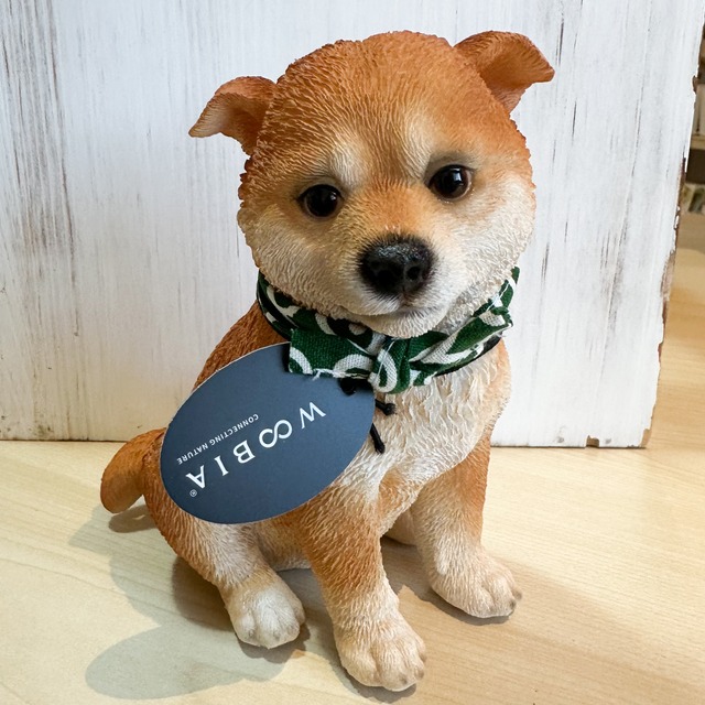 お座り豆柴犬