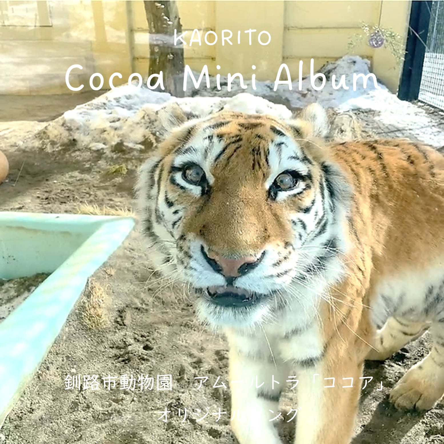 CD】釧路市動物園アムールトラ「ココア」Cocoa Mini Album(全5曲