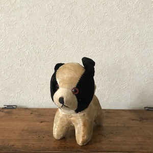 黒とクリーム色の犬