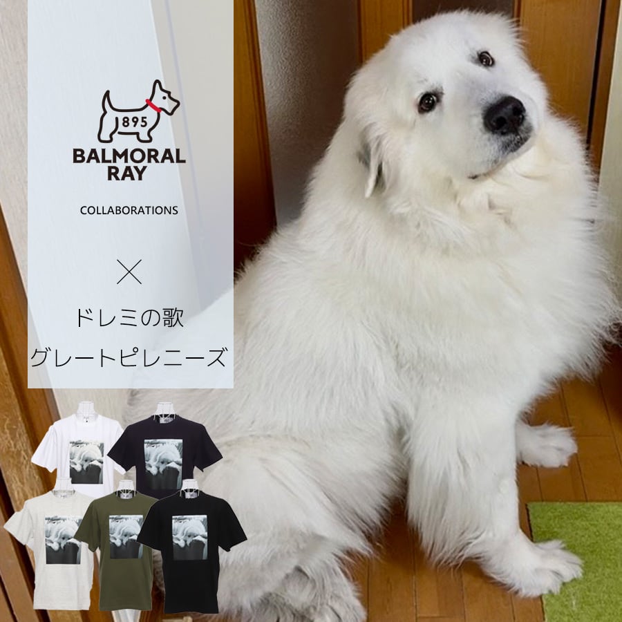 【レア】グレートピレニーズ【美品】 完全受注生産】ドレミの歌グレートピレニーズ×BALMORAL RAYコラボZIP