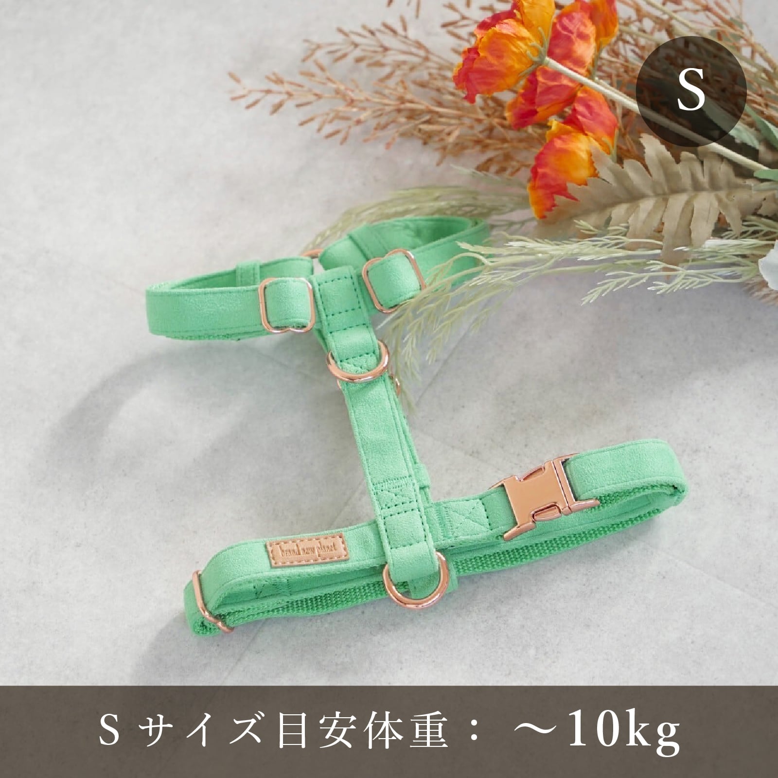ブランドニュープラネット 3WAYリード ブランドニュープラネット 3WAYリード 【公式通販】