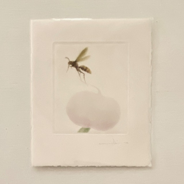 《ノエルの贈り物》渡邉幹夫 カラーメゾチントのカード WATANABE Mikio,mezzotint 《ノエルの贈り物》渡邉幹夫 カラーメゾチントのカード WATANABE Mikio,mezzotint