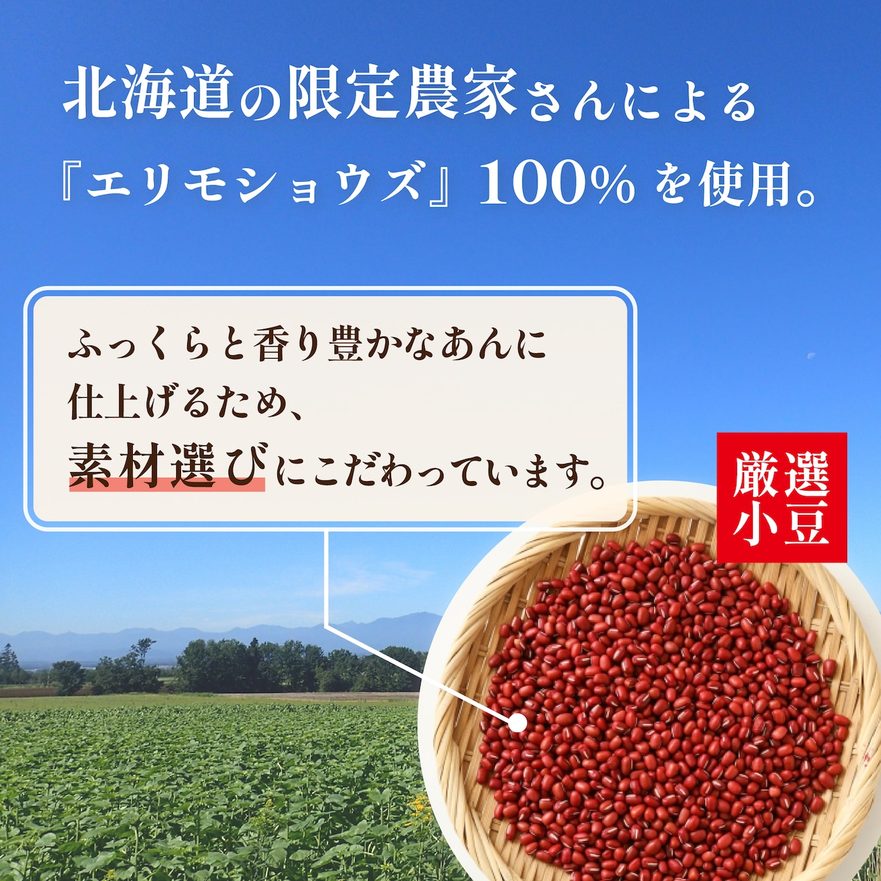 さくら餅&道明寺 食べ比べセット<17個入> 画像5