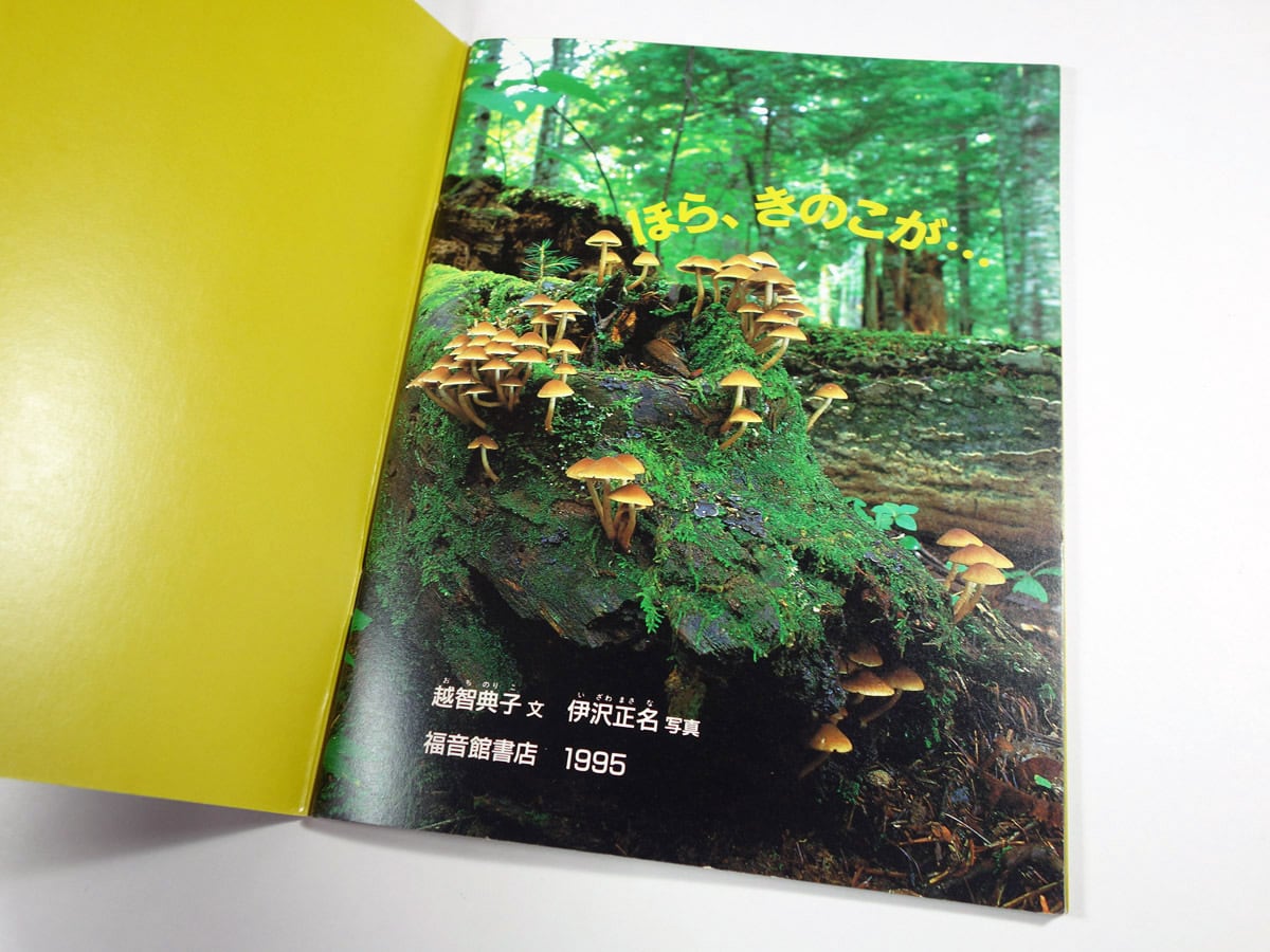 ほら、きのこが…（越智典子 文・伊沢正名 写真）- 月刊 たくさんの