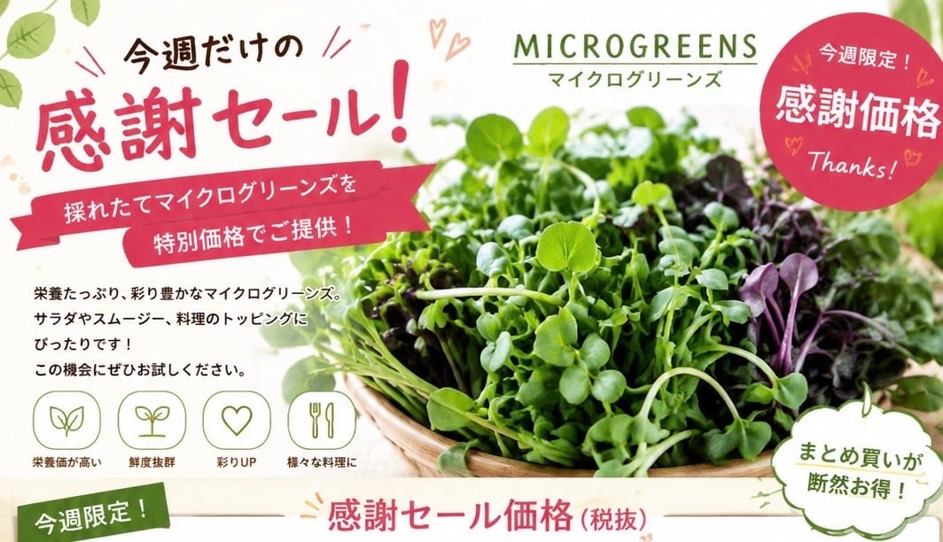 今週だけのお裾分けマイクログリーンズ【全国送料無料｜100g｜数量限定】