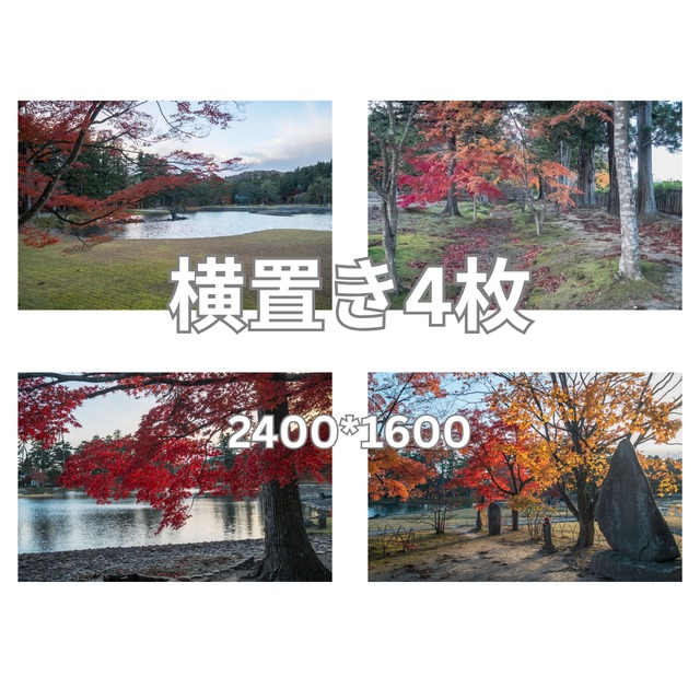 デジタル写真素材　4枚組  「紅葉の東北・6」サイズ　長編2400px×短辺1600px  商用可