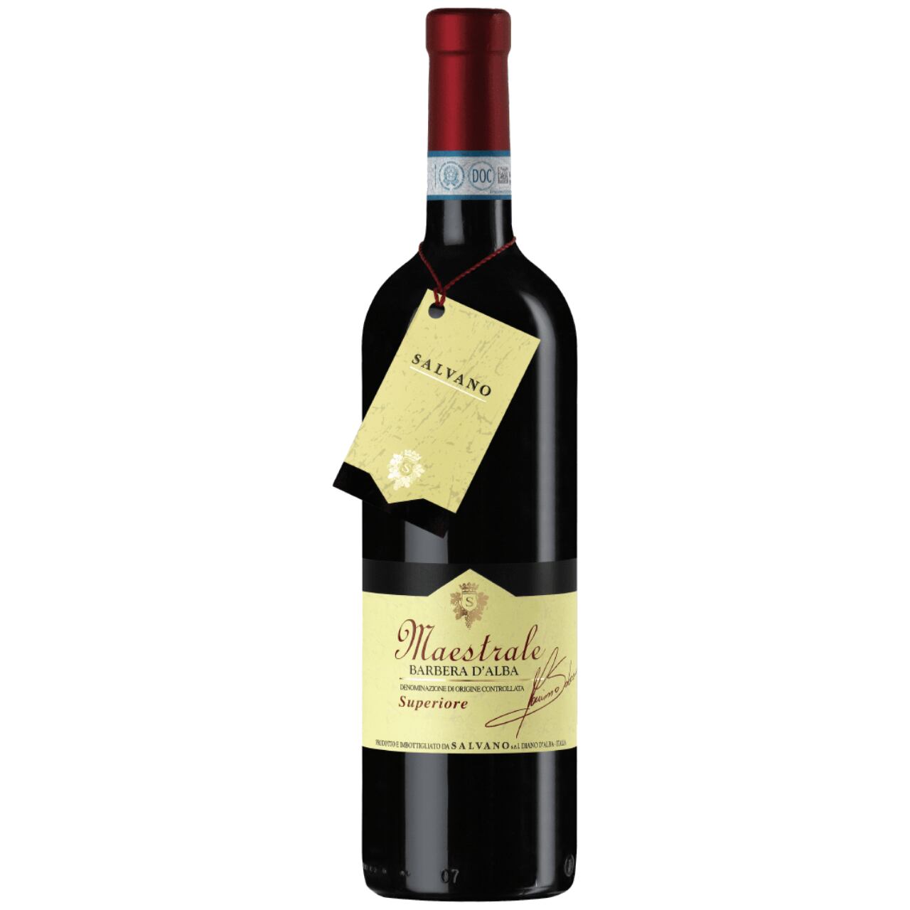 バルベーラ・ダルバ・スペリオーレ マエストラーレ 2015 〔サルヴァーノ〕