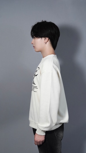 【ALUDE SELECT】Waffle grahic big log knit(2color)