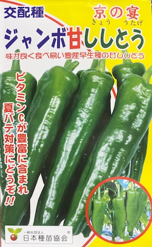 野菜種子約18粒「ジャンボ甘ししとう京の宴」＊送料無料