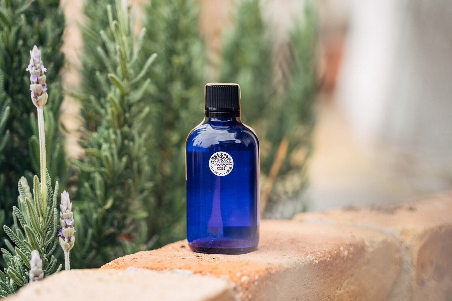 ハーブ水（100ml） | ハーブ・酵素専門店 | ハーブ石けん・酵素食品の