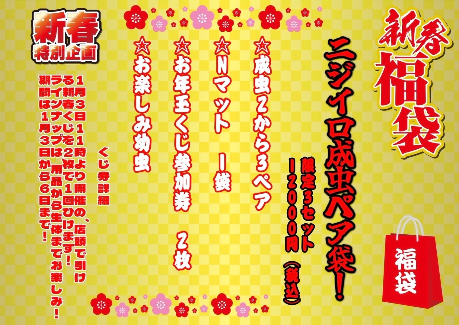 ONLINE SHOP ⁄ 大型血統クワガタ福袋外国産＋成虫か幼虫2匹 NESiA 福袋 