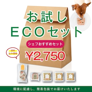 【送料込】お試しECOセット＜シェフおすすめセット＞