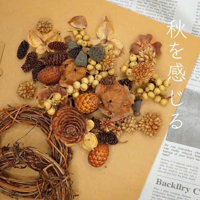 【ドライフラワー】ミッスクコーン　ナチュラル