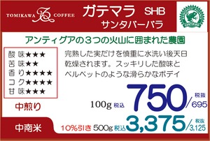 煎豆　ガテマラＳＨＢ アンティグアサンタバーバラ　500g