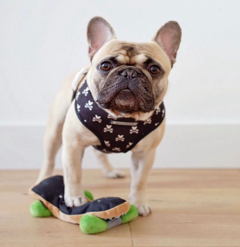 p-l-a-y-dog-toy-90s-classic-tete-not