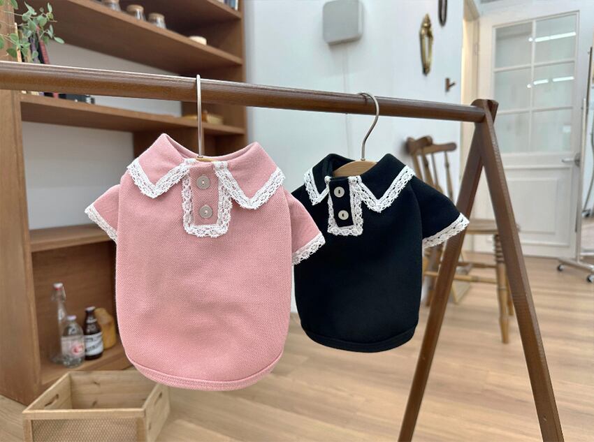 muse pk t-shirt S ~ XL 2color / 犬服 秋冬 新作 トップス シンプル 長袖 ドッグウェア 犬 服 小型犬 中型犬 襟付き tシャツ レース