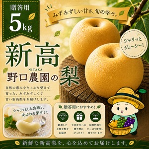 ⬛︎贈答用 新高 5kg