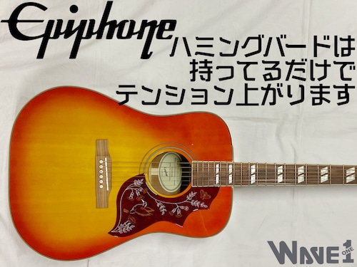 【Epiphone】Hummingbird Studio