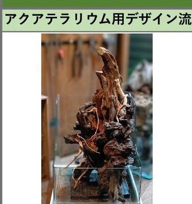 専用 流木 3点まとめて アクアテラリウム用デザイン流木(GAT300
