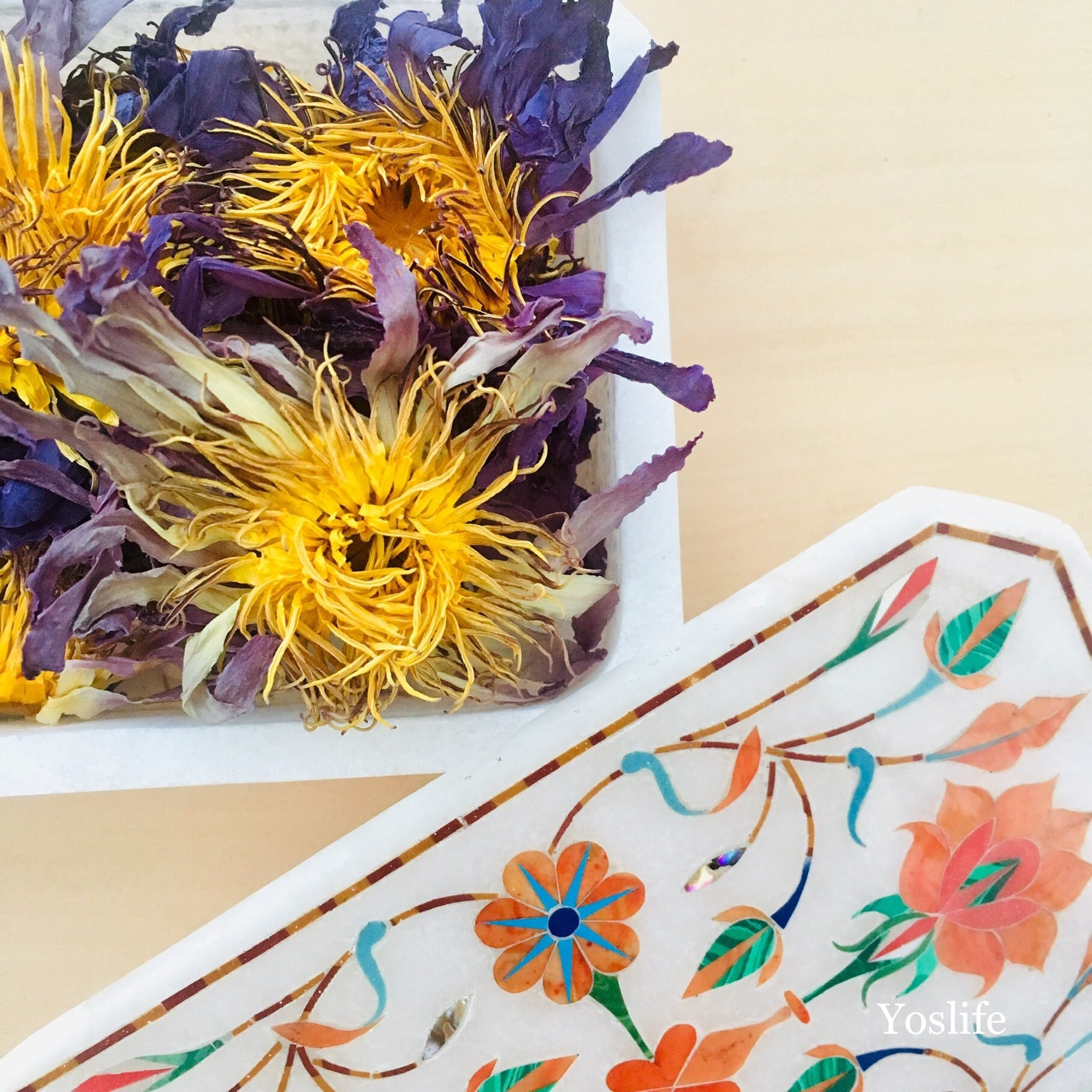 ブルーロータス フラワー | yoslife