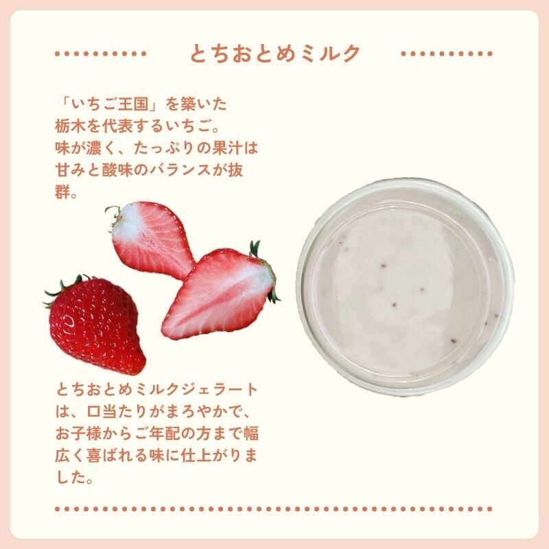 いちご　3/1 究極のいちごジェラート 3種6個セット | 猪野さんちのいちご農園｜産直
